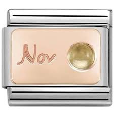 NOMINATION Month 'November' Rose Gold 43050811