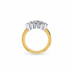 9ct Yellow Gold & Platinum Daisy Style Diamond Ring
