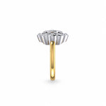 9ct Yellow Gold & Platinum Daisy Style Diamond Ring