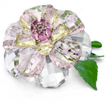 Swarovski Florere Camellia