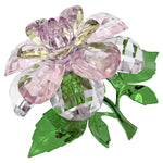 Swarovski Florere Camellia