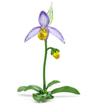 Swarovski Florere Lady Slipper Orchid
