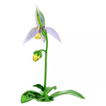 Swarovski Florere Lady Slipper Orchid