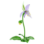 Swarovski Florere Lady Slipper Orchid