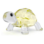 Swarovski - Idyllia Baby Tortoise