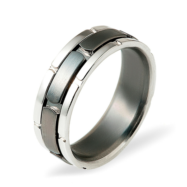 Dora 9ct White Gold & Titanium ring